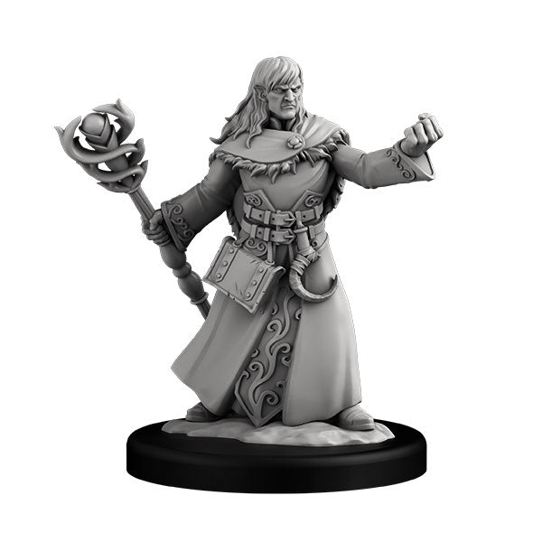 Elf Sorcerer – Next Level Miniatures